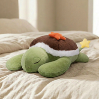 Sea Turtle